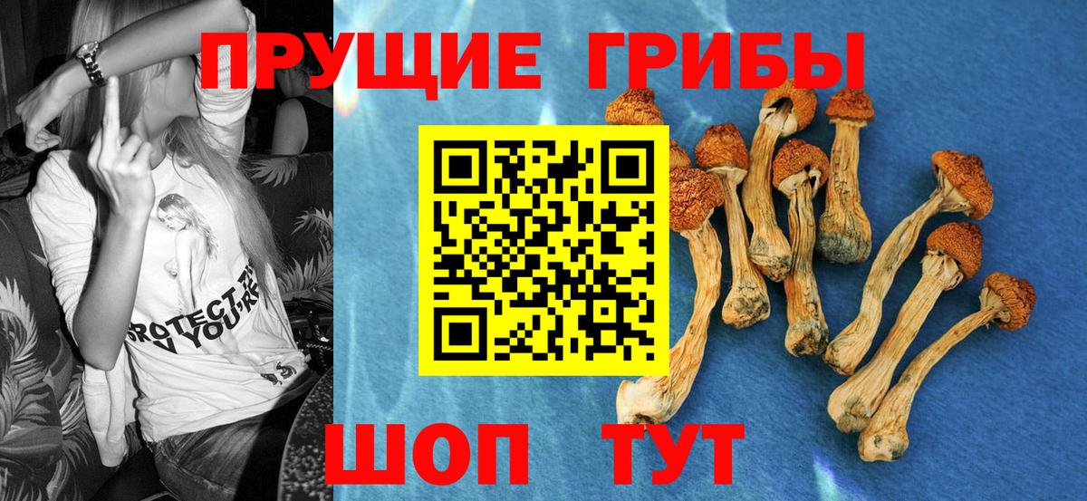 Галлюциногенные грибы MAGIC MUSHROOMS Канаш