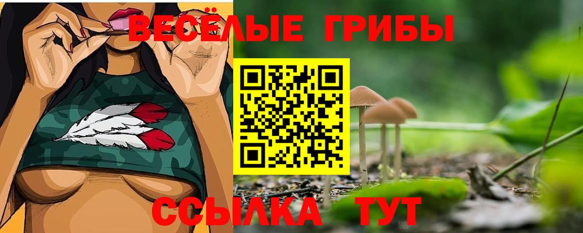 Канаш  Галлюциногенные грибы MAGIC MUSHROOMS  Псилоцибиновые грибы MAGIC MUSHROOMS  Вход с VPN 
